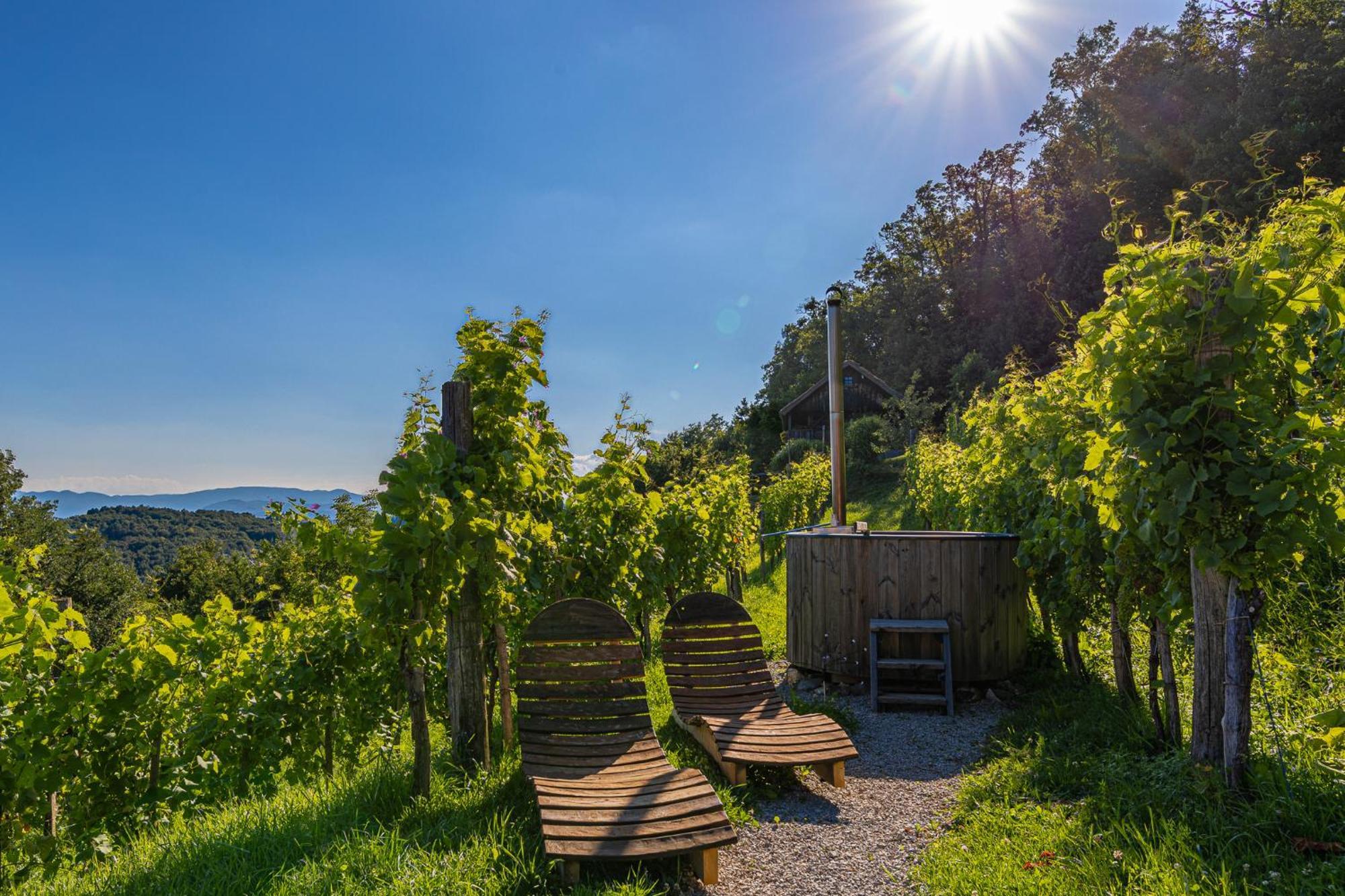 Vineyard Cottage Skatlar 3 奥托塞克 外观 照片
